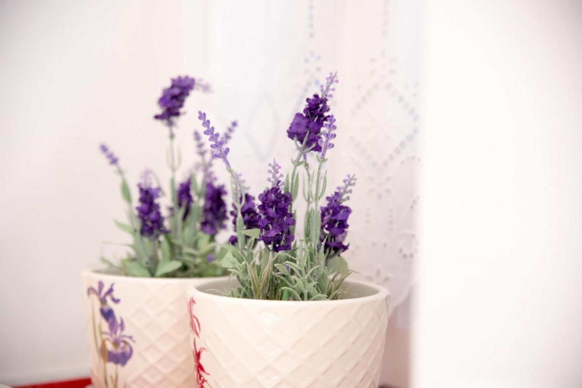 Aimou Studio'S Apartment'S Piraeus Ngoại thất bức ảnh